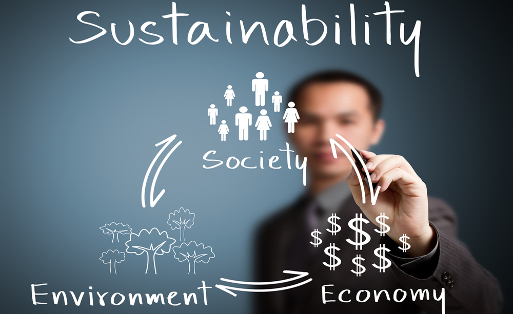 company sustainability statement examples