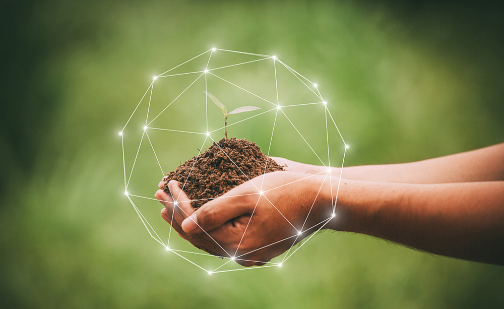 environmental sustainability csr